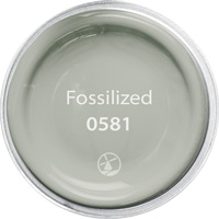 Fossilized - Color ID 0581