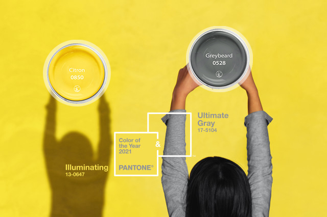 pantone ultimate gray illuminating